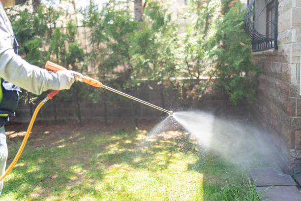 Best Lawn Pest Control  in Reston, VA